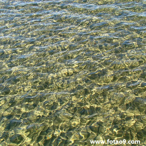 梦见切菜喂鹅,解梦梦见切菜喂鹅 梦见切菜喂鹅,解梦梦见切菜喂鹅