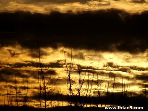 梦见运钞车被抢,解梦梦见运钞车被抢 梦见运钞车被抢,解梦梦见运钞车被抢