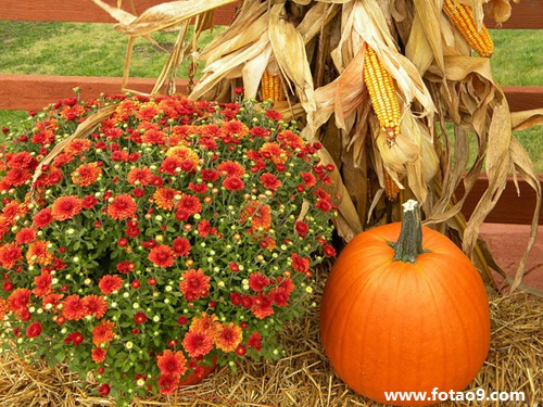 梦见在建的楼房里好多人被杀,解梦梦见在建的楼房里好多人被杀 梦见在建的楼房里好多人被杀,解梦梦见在建的楼房里好多人被杀