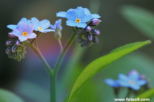梦见衣服在山上,解梦梦见衣服在山上 梦见衣服在山上,解梦梦见衣服在山上