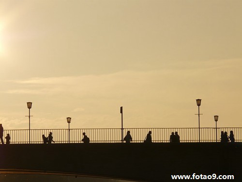 梦见蛇经过面前,解梦梦见蛇经过面前 梦见蛇经过面前,解梦梦见蛇经过面前