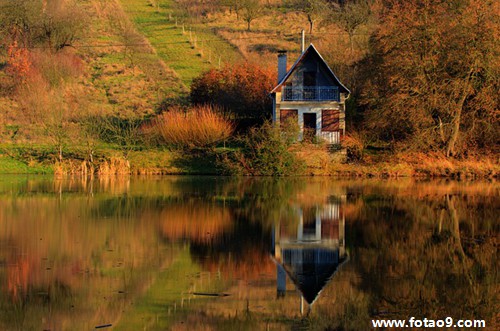 梦见蛇冲我伸舌头,解梦梦见蛇冲我伸舌头 梦见蛇冲我伸舌头,解梦梦见蛇冲我伸舌头