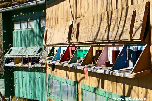 梦见自己晕倒没人救,解梦梦见自己晕倒没人救 梦见自己晕倒没人救,解梦梦见自己晕倒没人救