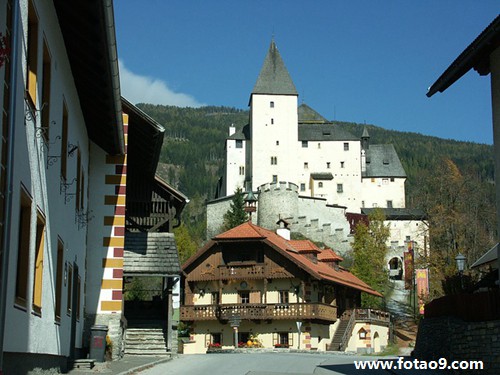 梦见很多死猪肉在水里,解梦梦见很多死猪肉在水里 梦见很多死猪肉在水里,解梦梦见很多死猪肉在水里