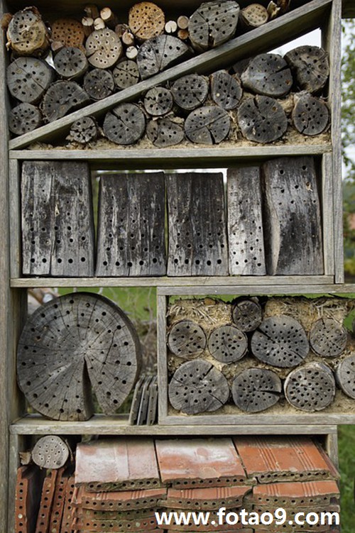 梦见红色羽绒服被烟头烫个小洞,解梦梦见红色羽绒服被烟头烫个小洞 梦见红色羽绒服被烟头烫个小洞,解梦梦见红色羽绒服被烟头烫个小洞