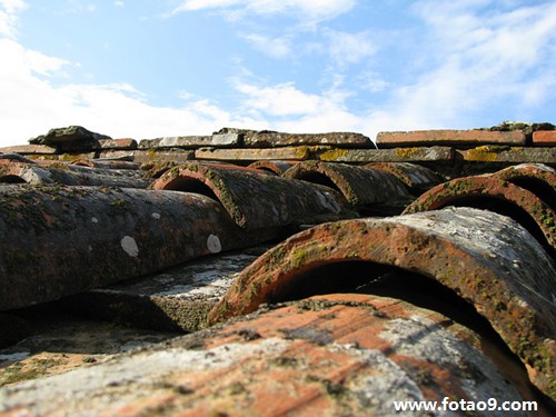 梦见猫眼镜个舌头发赤光,解梦梦见猫眼镜个舌头发赤光 梦见猫眼镜个舌头发赤光,解梦梦见猫眼镜个舌头发赤光