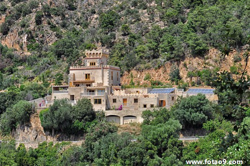 梦见许多蜜蜂在背上,解梦梦见许多蜜蜂在背上 梦见许多蜜蜂在背上,解梦梦见许多蜜蜂在背上