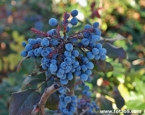 梦见继父和女友偷情,解梦梦见继父和女友偷情 梦见继父和女友偷情,解梦梦见继父和女友偷情