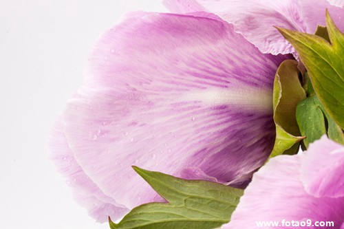 梦见朋友撞死人,解梦梦见朋友撞死人 梦见朋友撞死人,解梦梦见朋友撞死人