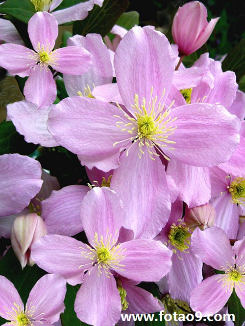 梦见家变成大海,解梦梦见家变成大海 梦见家变成大海,解梦梦见家变成大海