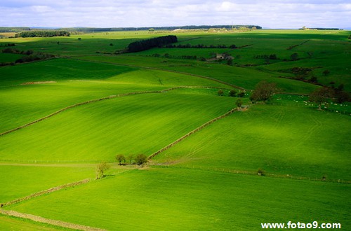 梦见陌生的面孔,解梦梦见陌生的面孔 梦见陌生的面孔,解梦梦见陌生的面孔