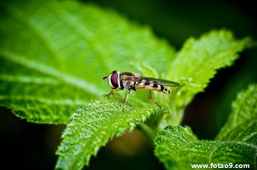 梦见自己偷吃点心,解梦梦见自己偷吃点心 梦见自己偷吃点心,解梦梦见自己偷吃点心