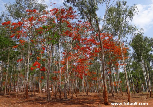 梦见我和哥哥赤身裸体,解梦梦见我和哥哥赤身裸体 梦见我和哥哥赤身裸体,解梦梦见我和哥哥赤身裸体