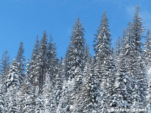 梦见自己失忆变傻了,解梦梦见自己失忆变傻了 梦见自己失忆变傻了,解梦梦见自己失忆变傻了