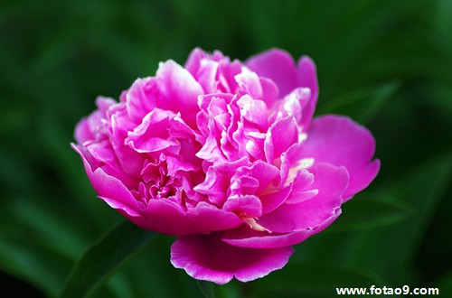 梦见老婆双手断,解梦梦见老婆双手断 梦见老婆双手断,解梦梦见老婆双手断