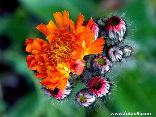 梦见梦突然失意,解梦梦见梦突然失意 梦见梦突然失意,解梦梦见梦突然失意