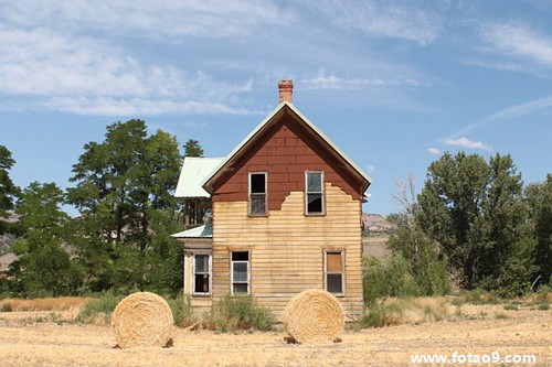 梦见跟叔叔出去我买面包,解梦梦见跟叔叔出去我买面包 梦见跟叔叔出去我买面包,解梦梦见跟叔叔出去我买面包