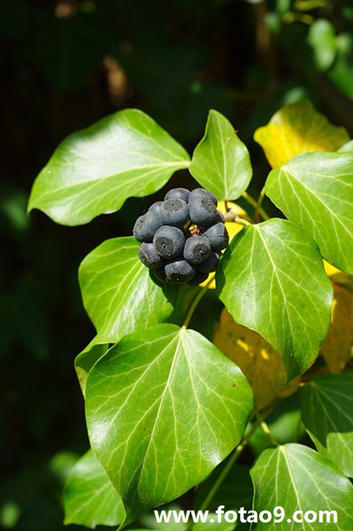 梦见前男友家盖房子,解梦梦见前男友家盖房子 梦见前男友家盖房子,解梦梦见前男友家盖房子