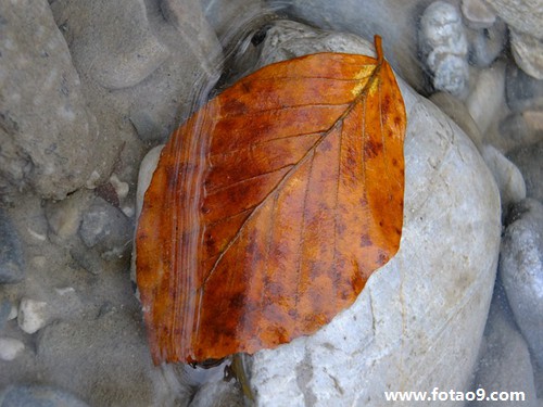 梦见裸着上身被人嘲笑,解梦梦见裸着上身被人嘲笑 梦见裸着上身被人嘲笑,解梦梦见裸着上身被人嘲笑