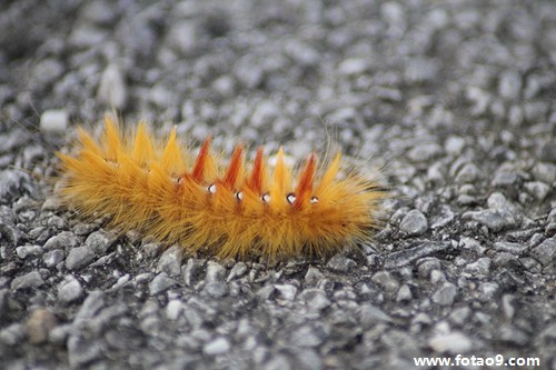 梦见的孩子感冒,解梦梦见的孩子感冒 梦见的孩子感冒,解梦梦见的孩子感冒