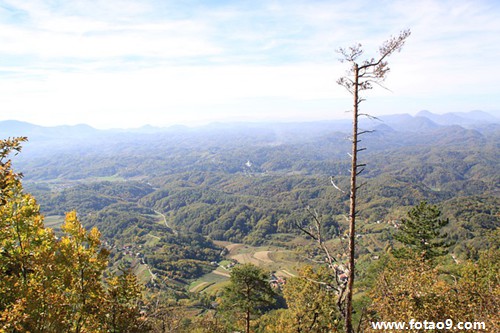 梦见胳膊中三枪,解梦梦见胳膊中三枪 梦见胳膊中三枪,解梦梦见胳膊中三枪