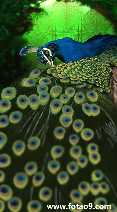 梦见自己的婚礼很不愉快,解梦梦见自己的婚礼很不愉快 梦见自己的婚礼很不愉快,解梦梦见自己的婚礼很不愉快