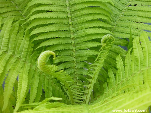 梦见很多黄色的花儿,解梦梦见很多黄色的花儿 梦见很多黄色的花儿,解梦梦见很多黄色的花儿