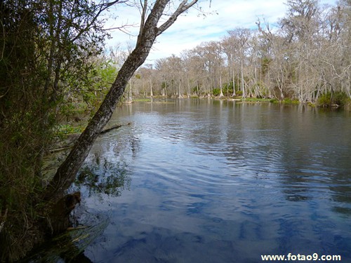 梦见我被别人开膛破肚,解梦梦见我被别人开膛破肚 梦见我被别人开膛破肚,解梦梦见我被别人开膛破肚