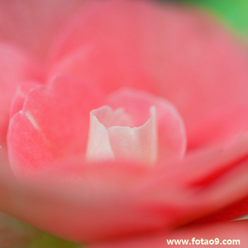 梦见我自己身体被门夹住很痛,解梦梦见我自己身体被门夹住很痛 梦见我自己身体被门夹住很痛,解梦梦见我自己身体被门夹住很痛