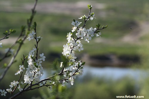 梦见和爱人跳伞,解梦梦见和爱人跳伞 梦见和爱人跳伞,解梦梦见和爱人跳伞