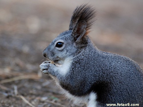 梦见在学校找不到的课桌,解梦梦见在学校找不到的课桌 梦见在学校找不到的课桌,解梦梦见在学校找不到的课桌