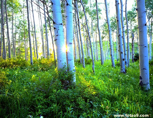 梦见回到小时候上小学,解梦梦见回到小时候上小学 梦见回到小时候上小学,解梦梦见回到小时候上小学
