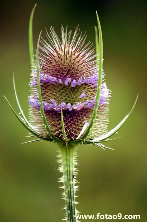 孕妇梦见小女孩坠楼,解梦孕妇梦见小女孩坠楼 孕妇梦见小女孩坠楼,解梦孕妇梦见小女孩坠楼