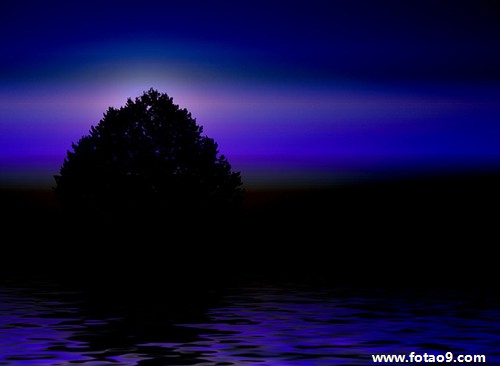 梦见老鼠送给我财,解梦梦见老鼠送给我财 梦见老鼠送给我财,解梦梦见老鼠送给我财