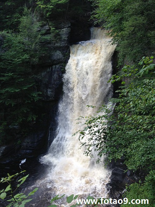 梦见父亲的店铺被盗,解梦梦见父亲的店铺被盗 梦见父亲的店铺被盗,解梦梦见父亲的店铺被盗