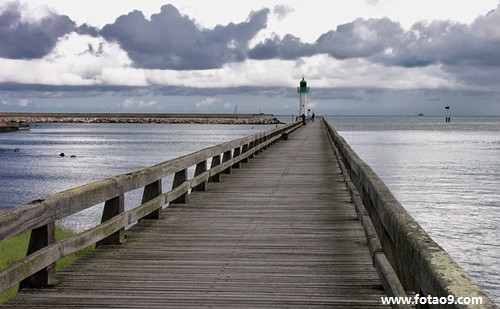梦见别人送我一只刚出生的小狗,解梦梦见别人送我一只刚出生的小狗 梦见别人送我一只刚出生的小狗,解梦梦见别人送我一只刚出生的小狗