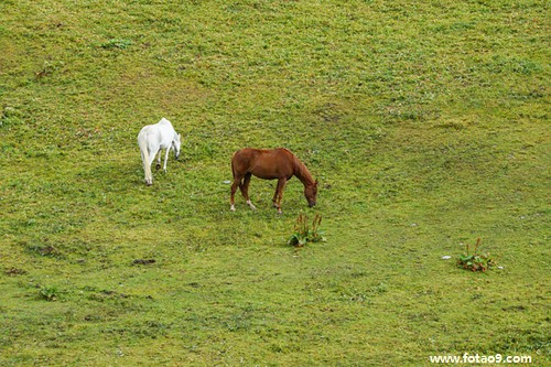 梦见坐小船很冷,解梦梦见坐小船很冷 梦见坐小船很冷,解梦梦见坐小船很冷