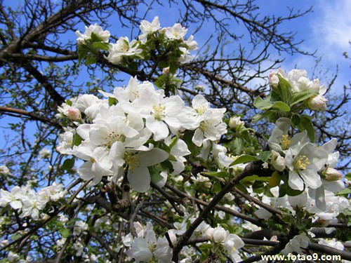 梦见外婆杀自己,解梦梦见外婆杀自己 梦见外婆杀自己,解梦梦见外婆杀自己