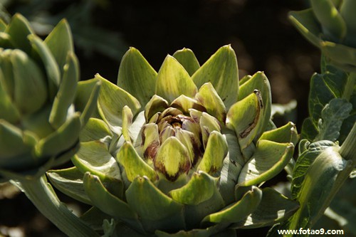 梦见打架别人家进小偷报警,解梦梦见打架别人家进小偷报警 梦见打架别人家进小偷报警,解梦梦见打架别人家进小偷报警