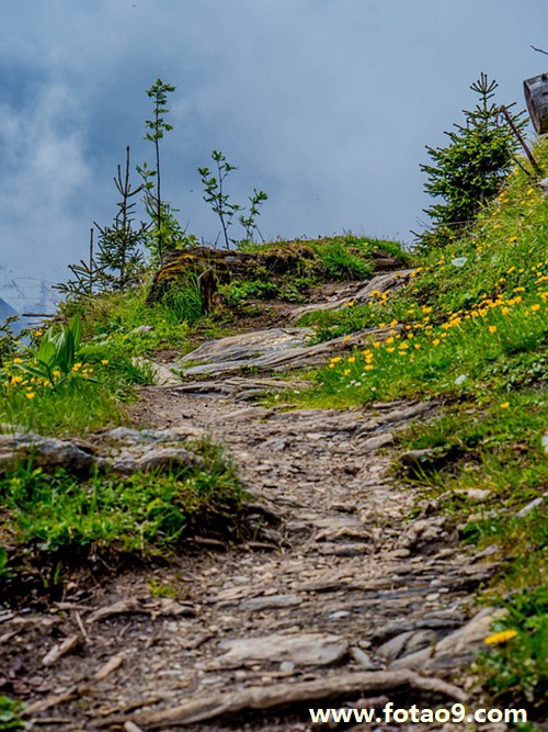 梦见逝去的外婆从家门走出来,解梦梦见逝去的外婆从家门走出来 梦见逝去的外婆从家门走出来,解梦梦见逝去的外婆从家门走出来