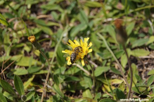 梦见父亲摔掉牙齿,解梦梦见父亲摔掉牙齿 梦见父亲摔掉牙齿,解梦梦见父亲摔掉牙齿