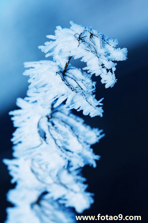梦见考试没有椅子,解梦梦见考试没有椅子 梦见考试没有椅子,解梦梦见考试没有椅子