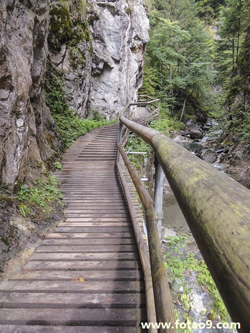 梦见电动车钱包丢,解梦梦见电动车钱包丢 梦见电动车钱包丢,解梦梦见电动车钱包丢