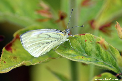 梦见抱着儿子在大风还有雨中,解梦梦见抱着儿子在大风还有雨中 梦见抱着儿子在大风还有雨中,解梦梦见抱着儿子在大风还有雨中