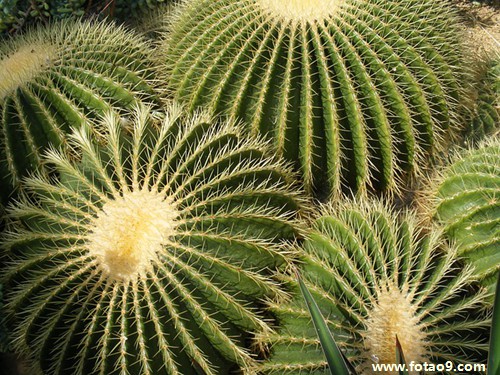 梦见河流变水田,解梦梦见河流变水田 梦见河流变水田,解梦梦见河流变水田