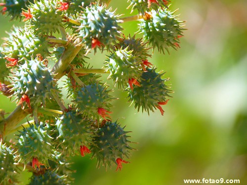 梦见和男朋友合八字,解梦梦见和男朋友合八字 梦见和男朋友合八字,解梦梦见和男朋友合八字
