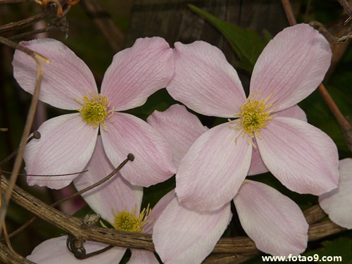 梦见辍学的人考上大学,解梦梦见辍学的人考上大学 梦见辍学的人考上大学,解梦梦见辍学的人考上大学