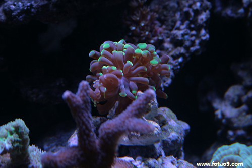 梦见跟朋友吵架自己跳楼,解梦梦见跟朋友吵架自己跳楼 梦见跟朋友吵架自己跳楼,解梦梦见跟朋友吵架自己跳楼