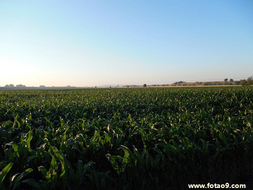 梦见开车撞坏东西,解梦梦见开车撞坏东西 梦见开车撞坏东西,解梦梦见开车撞坏东西