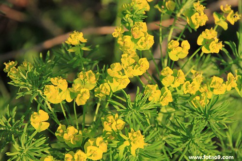 梦见家里很多人穿白衣服吃饭,解梦梦见家里很多人穿白衣服吃饭 梦见家里很多人穿白衣服吃饭,解梦梦见家里很多人穿白衣服吃饭